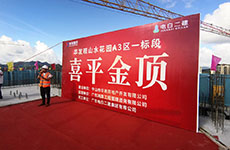 業(yè)務(wù)動(dòng)態(tài) | 我司設(shè)計(jì)項(xiàng)目——華發(fā)觀山水花園A3區(qū)一標(biāo)段喜平金頂